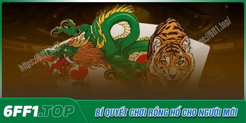 Bí quyết chinh phục Rồng Hổ cho tân binh