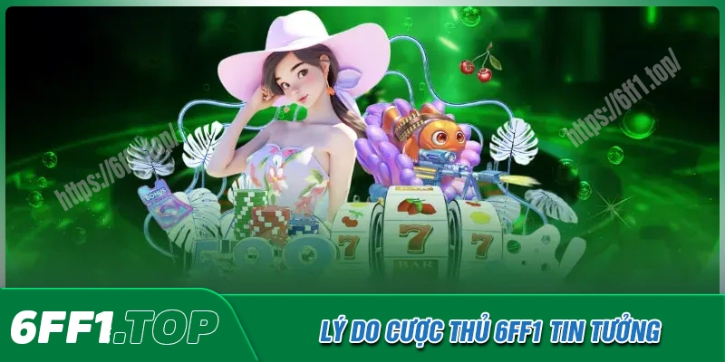Khám phá những lý do 6FF1 được bet thủ tin tưởng